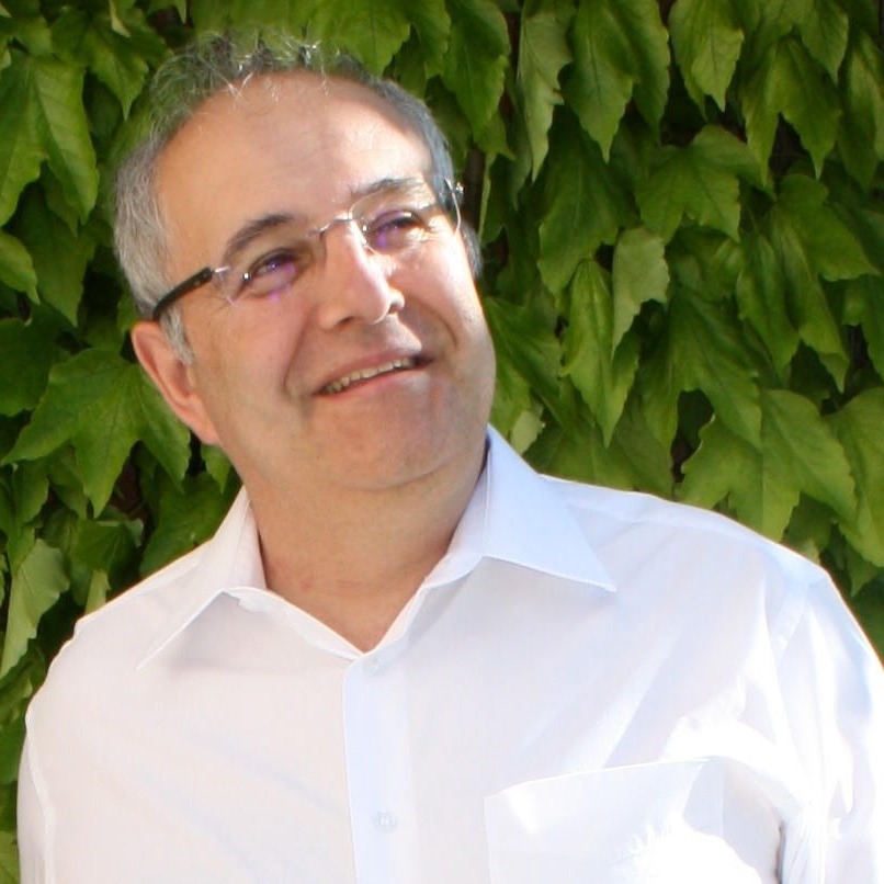 Fernando A. Navarro